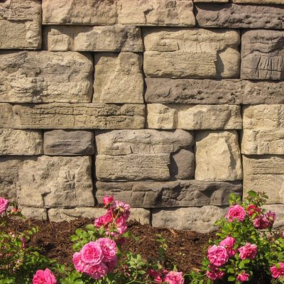 Belvedere1 Rosetta Belvedere